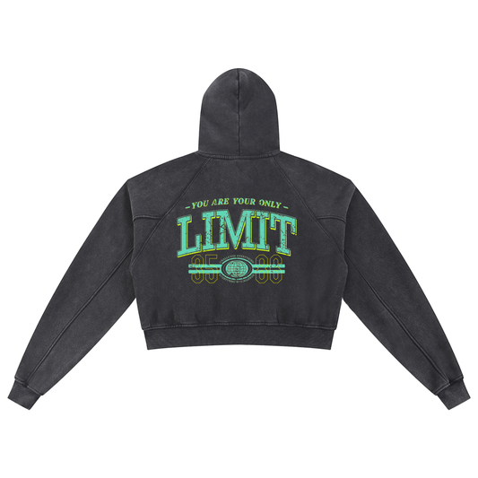 Snow Washed Cropped Hoodie