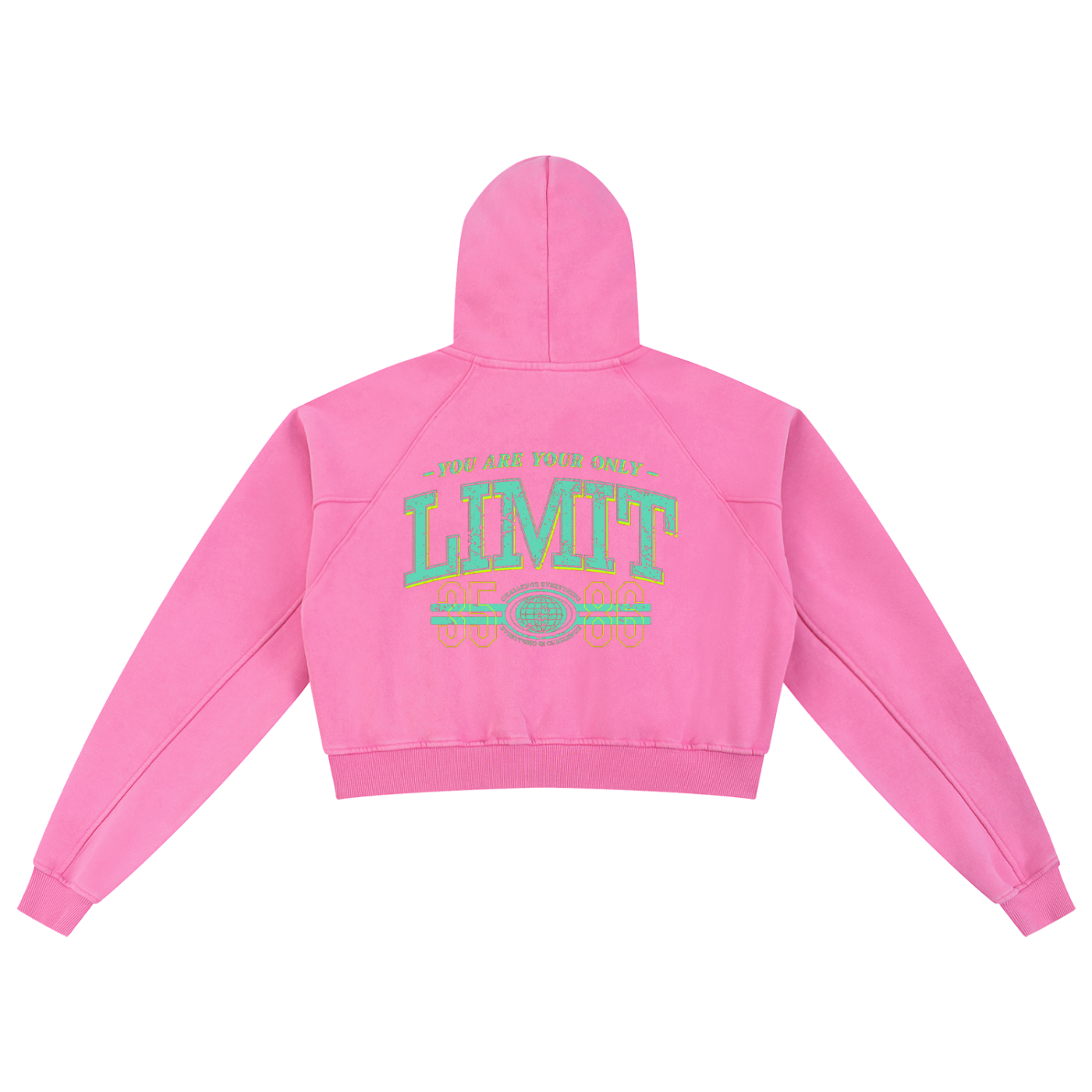 Snow Washed Cropped Hoodie