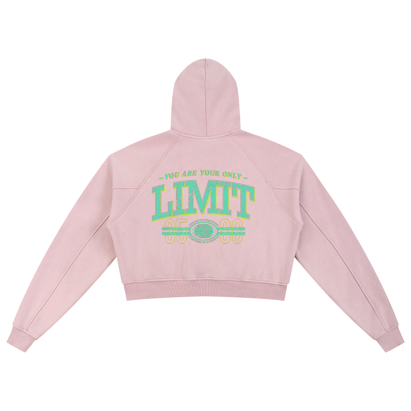 Snow Washed Cropped Hoodie